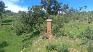 Bienen Beute aus Lehm und Stein [upl. by Fishbein]