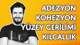 Adezyon Kohezyon Yüzey Gerilimi ve Kılcallık  Gösteri Deneyleri  Madde ve Özellikleri  PDF [upl. by Lalage59]