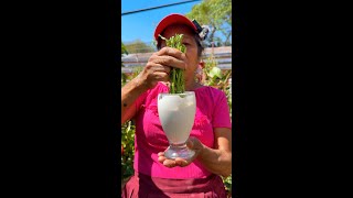 EL mejor CICATRIZANTE Y ENRAIZANTE para tus plantas LA CAL  ENRAIZANTE casero para CACTUS y FLORES [upl. by Ahker]