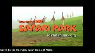 The San Diego Zoo Safari Park Tour [upl. by Nyliahs]