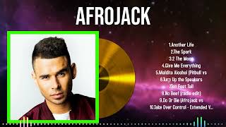 Feel the Beat 2024 with Afrojack Songs to Dance and Chill To [upl. by Krug]