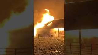 Fire destroys animal barn in Western New York shorts shortsvideo [upl. by Nanerb196]