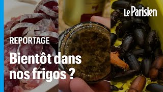 Saucisson au CBD scarabées algues  3 produits de demain repérés au Salon de lAgriculture [upl. by Stag]