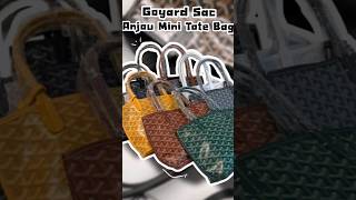 Goyard Sac Anjou mini tote bag 💼🤎 [upl. by Leynwad455]