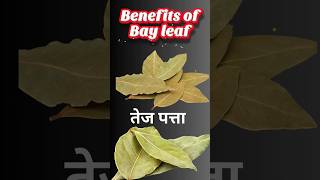 Benefits of bayleaf shortvideo facts food bayleaves [upl. by Akers265]