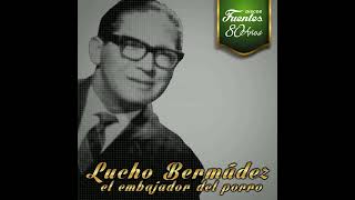 Lucho Bermúdez  Tolú Instrumental [upl. by Yecats284]