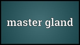 Master gland Meaning [upl. by Varin]