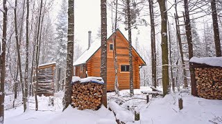 Building A Log Cabin  Ep 65  Finally a cozy place to relax in a snowstorm Winter Cabin Life [upl. by Bette-Ann]