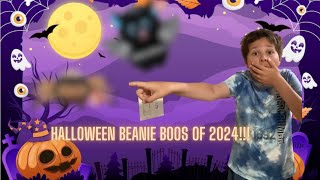 Halloween beanie boos of 2024 [upl. by Attenyl]