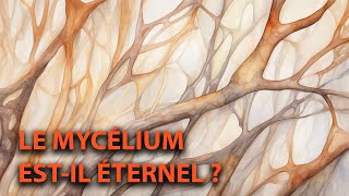 🍄 Quel est la DURÉE de VIE du MYCELIUM [upl. by Conall]