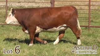 Lot 6 Anchor D Keanna 82K [upl. by Llevel498]