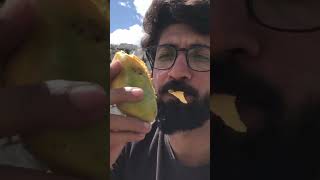 Mango on river view  food pashtofamoussongtoorpaike [upl. by Wenoa]