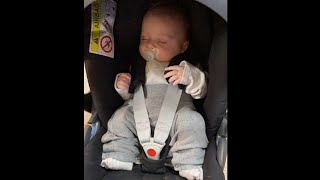 Pavlik Harness Tips  Car Seat [upl. by Anissej]