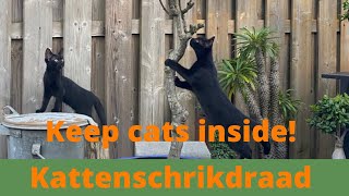 Veilig uw katten in de tuin  Schrikdraad Online [upl. by Oshinski]