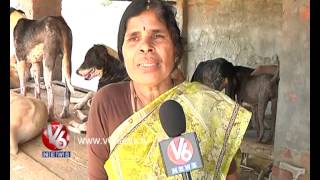 Foundation For Dogs In Nellore [upl. by Haelak]