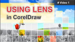 Lens effect in corel draw with cdtfb [upl. by Jacky]