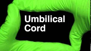 How to Pronounce Umbilical Cord [upl. by Atiseret]