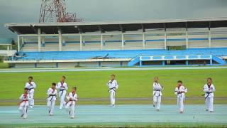 Palarong Bikol 2017 Sendoff [upl. by Namruht]