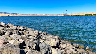 Fishing O’Neill Forebay Reservoir Ca [upl. by Ayrad]