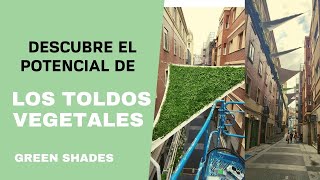 Beneficios de los toldos de vela vegetales [upl. by Akirat]