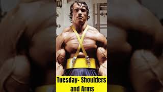 Arnold Schwarzenegger workout routine [upl. by Aynam]