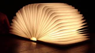 livre lampe en bois [upl. by Salesin715]