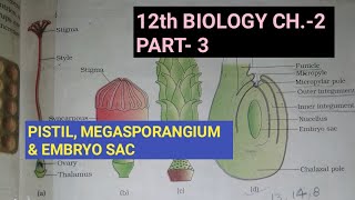 Class 12 biology chapter2 Part3 Pistil megasporangium and embryo sacStudy with FARRU [upl. by Ahsitak]