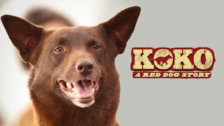 Koko A Red Dog Story  Full Movie  WATCH FOR FREE [upl. by Zenia]