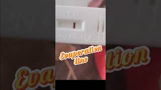 Pregnancy test negative vs positive evaporation pregnancysymptoms shortvideo [upl. by Aili]