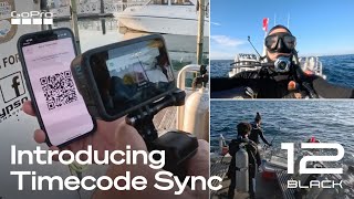 How to Use GoPro HERO12 Blacks MultiCamera Timecode Sync [upl. by Chatterjee]