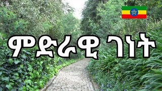 hamele 19 park Addis Abeba walking Tour 2024Ethiopia cityaddis abeba cityaddis abeba bete [upl. by Oicafinob]