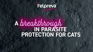 Felpreva®  easier parasite protection for your cat [upl. by Mcgill869]