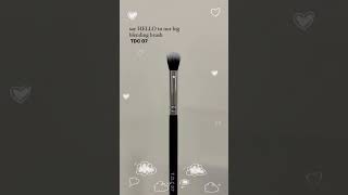 THE DRUGSTORE COMPANY  MAKEUP BRUSHES  FOUNDATION BRUSH  BLUSH BRUSH  HIGHLIGHTER BRUSH  BRUSH [upl. by Orabla372]