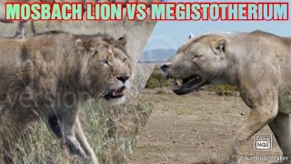 MOSBACH LION VS MEGISTOTHERIUM  WHO WOULD WIN BETWEEN THESE TWO BEASTS [upl. by Suidualc369]