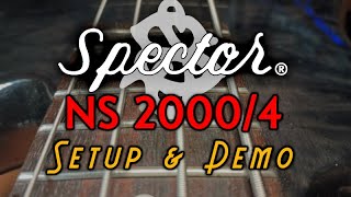 Spector NS 20004 Setup amp Demo [upl. by Pauline]