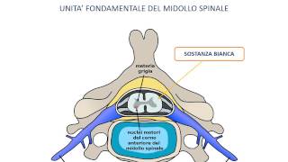 Rimorchiare ragazze a caso  Stingers  Esperimento sociale [upl. by Ayek]