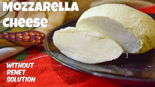 How to make Mozzarella Cheese at home  Homemade Mozzarella Cheese recipe by Cook With Us [upl. by Ecilahs902]