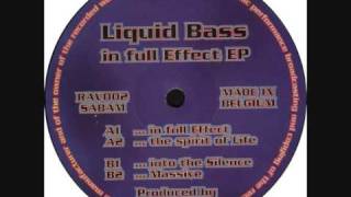 Liquid Bass  Into the Silence [upl. by Desdamonna]