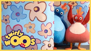 Wrapping Paper  Twirlywoos Full Episode Compilations  Shows for Kids  WildBrain Zigzag [upl. by Ayekehs]