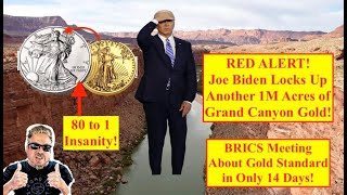 ALERT Biden Locks Up TRILLIONS More in GRAND CANYON GOLD as Silver Riggers Go quotAll Inquot Bix Weir [upl. by Conner]