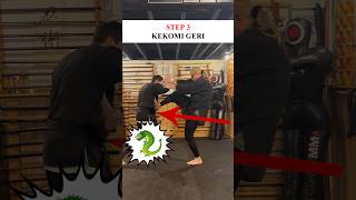 How To Do KEMPO Kekomi Geri in a FIGHT 🐉 Shorts Kempo Karate [upl. by Eatnwahs863]