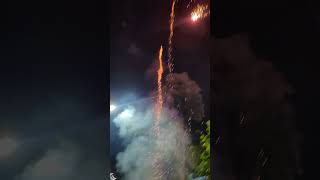 35 Sony fireworks skyshots with standard crackers phataka fireworksdisplay shorts indian [upl. by Ernest]