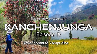 Kanchejunga Circuit Trek NayaZhorani to Yampudin  Episode 14 [upl. by Ynna]