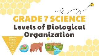 Levels of Biological Organization  Grade 7 Science DepEd MELC Quarter 2 Module 3 [upl. by Hairaza347]