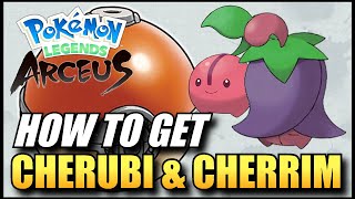 Pokemon Legends Arceus  How To Get Cherubi amp Cherrim  Cherubi amp Cherrim Best Locations [upl. by Nevad]