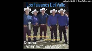 Los Faisanes Del Valle Soledad [upl. by Adiuqal247]