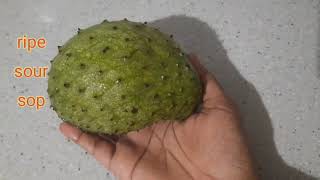 How to make Jamaican Soursop Juice amp Soursop Strawberry Icecream [upl. by Tan]