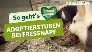 Ein Haustier aus dem Tierheim adoptieren Mit der Fressnapf Adoptierstube [upl. by Lexis846]