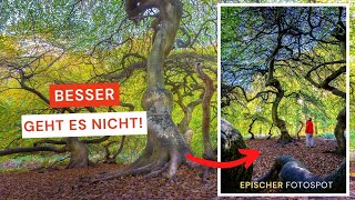 Besser geht es nicht  Epischer Fotospot [upl. by Nahtonoj]