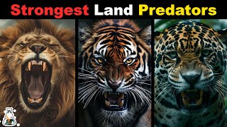 Why Are Wild Cats the Most Powerful Land Predators [upl. by Georgeta]